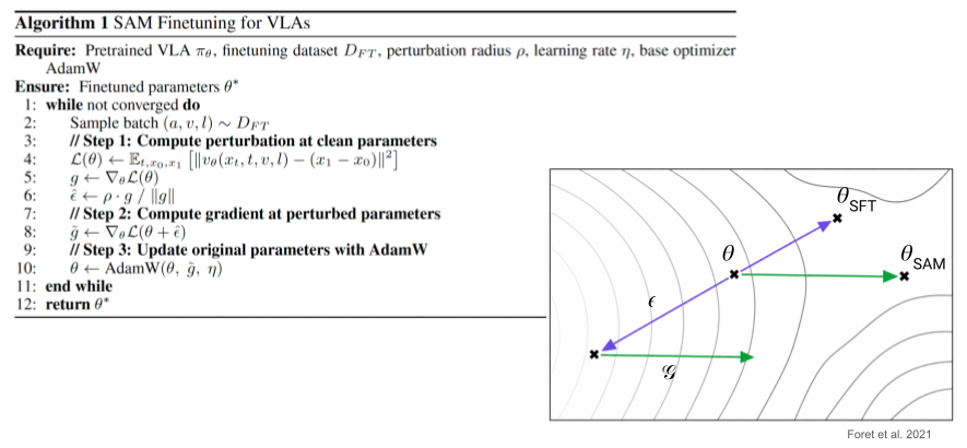 SAM finetuning algorithm and loss landscape illustration